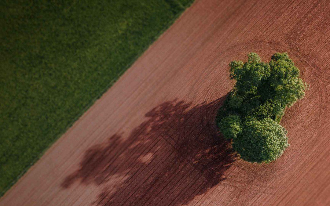 Farm Credit Associations