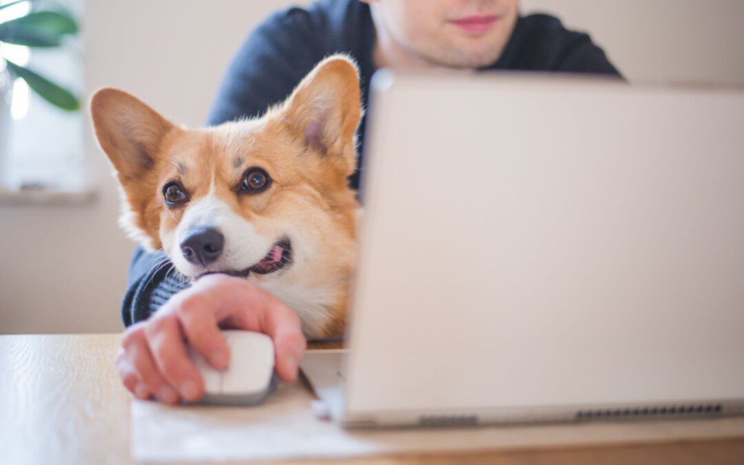 Prioritizing cybersecurity in a hybrid workplace